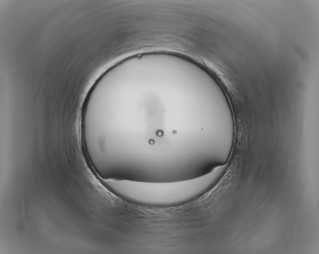 X0000111911516200908101150