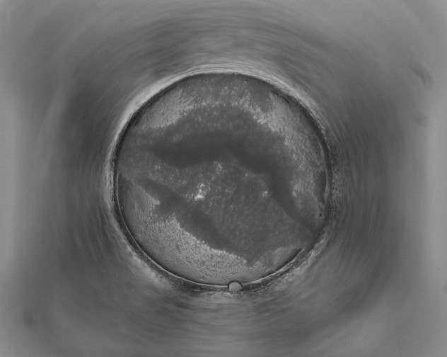 X0000111911517200908101150