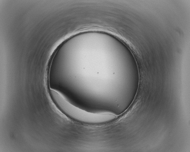 X0000111911518200908101150