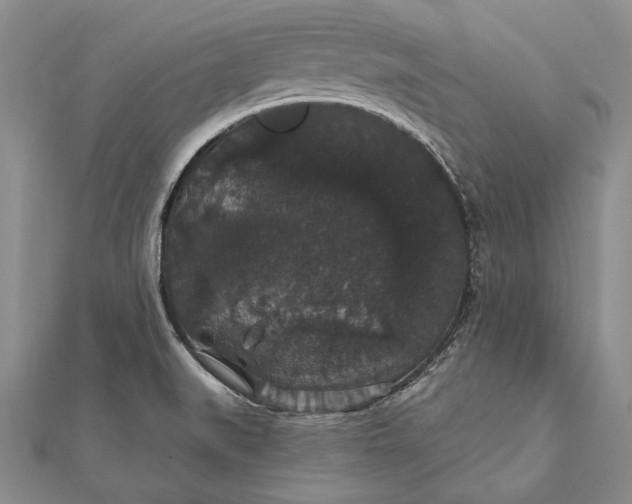 X0000111911519200908101150