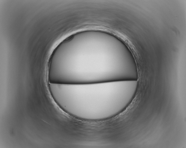 X0000111911520200908101150