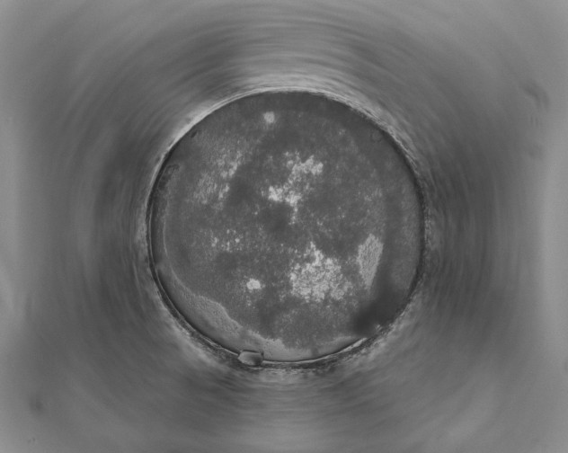 X0000111911521200908101150