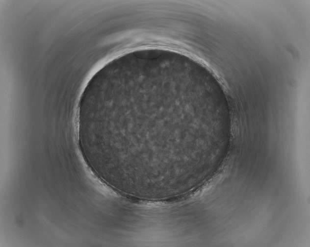 X0000111911522200908101150