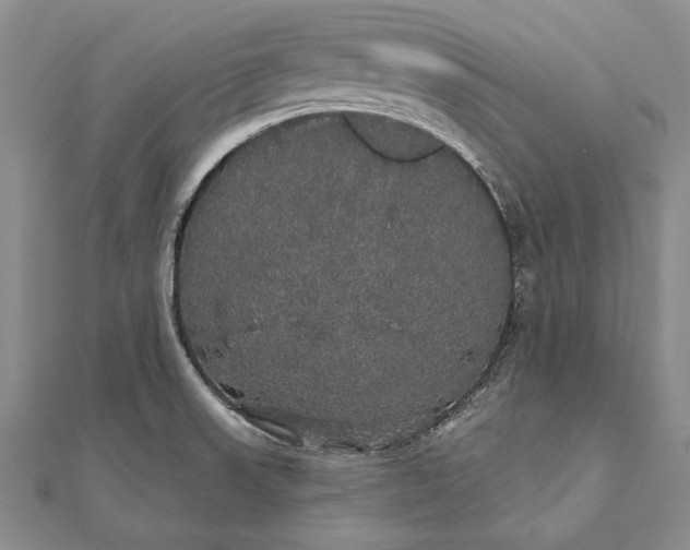 X0000111911523200908101150