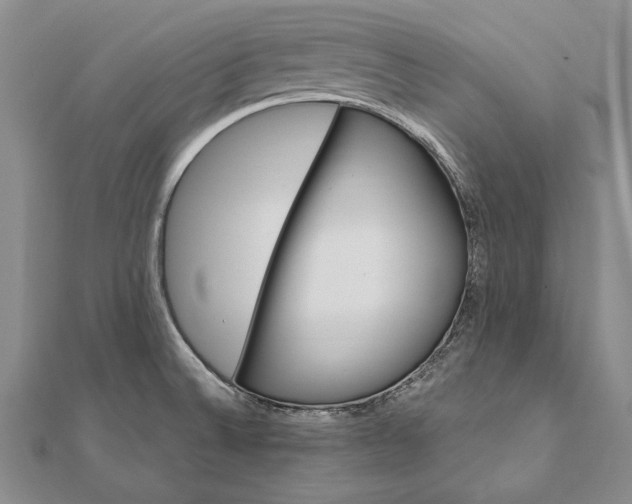 X0000111911524200908101150