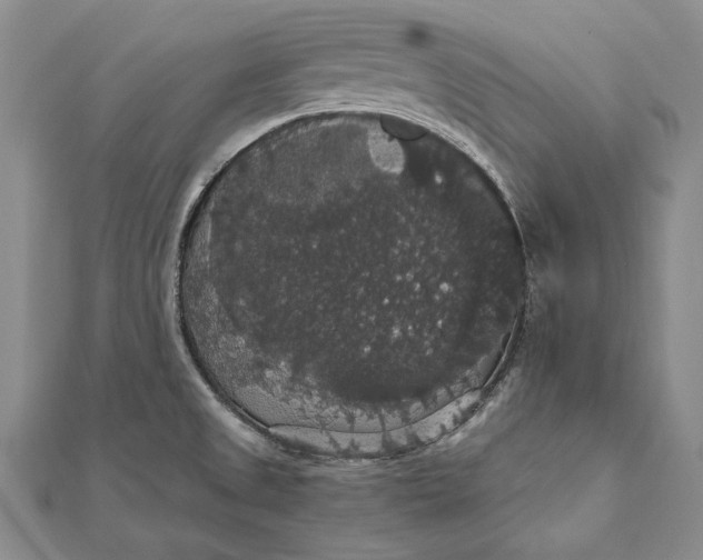 X0000111911525200908101150