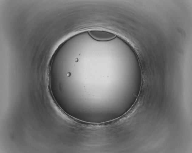 X0000111911526200908101150