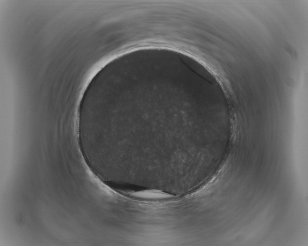 X0000111911527200908101150