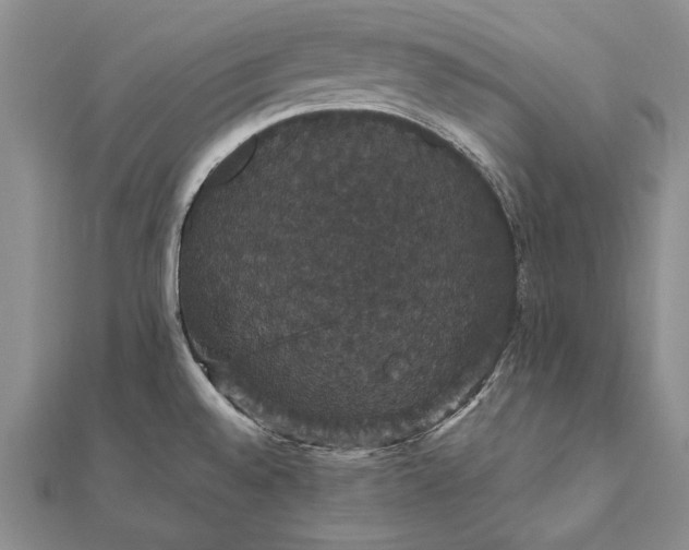 X0000111911528200908101150