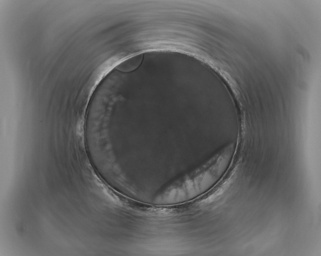 X0000111911529200908101150