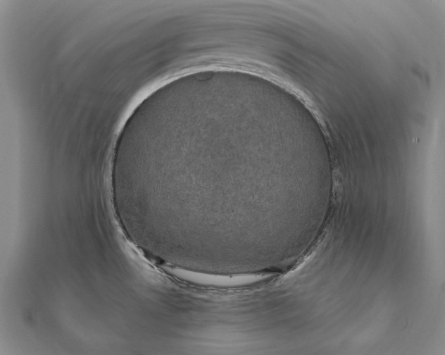 X0000111911530200908101150