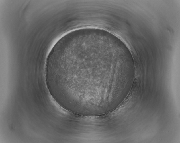 X0000111911532200908101150