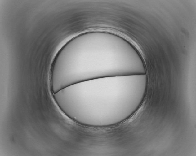 X0000111911533200908101150