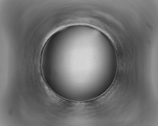 X0000111911534200908101150