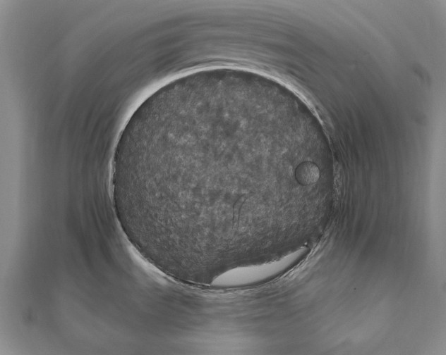 X0000111911535200908101150