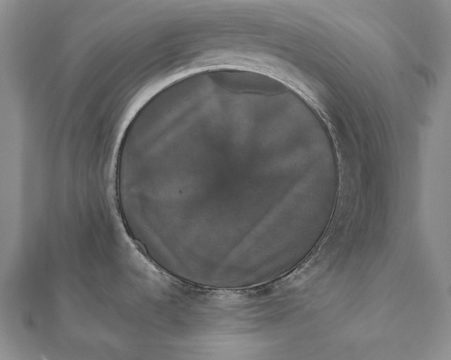 X0000111911536200908101150