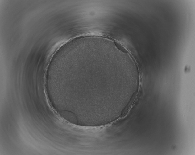 X0000111910001200908171312