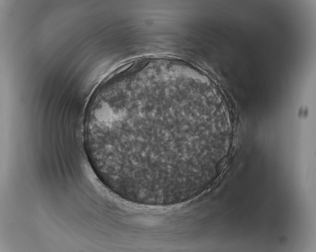 X0000111910002200908171312