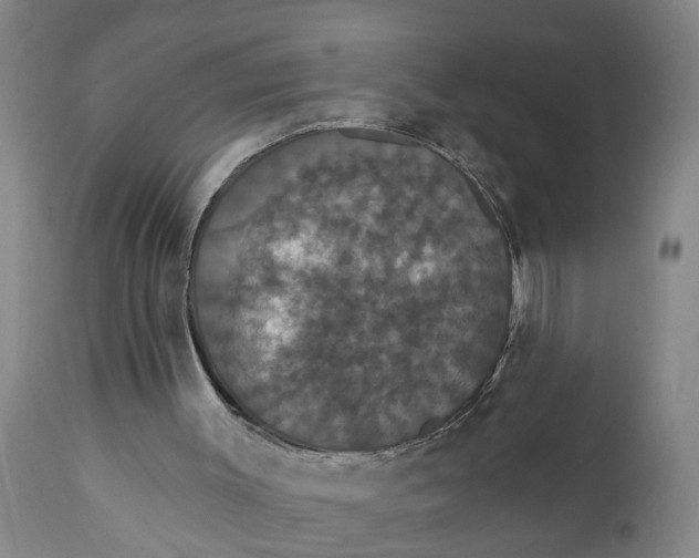 X0000111910003200908171312