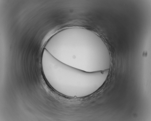 X0000111910004200908171312