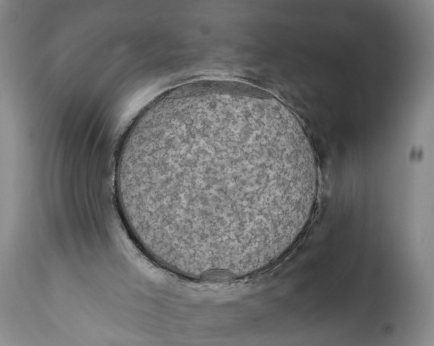 X0000111910005200908171312