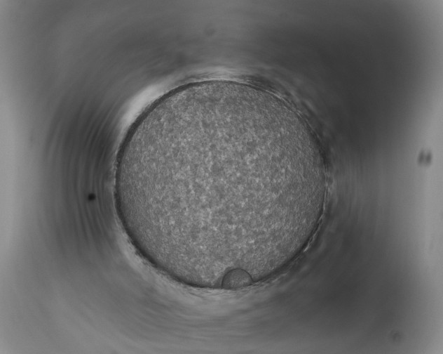 X0000111910006200908171312