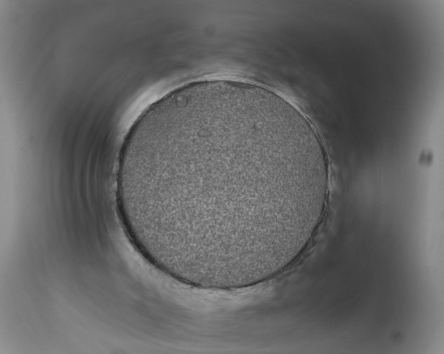 X0000111910007200908171312