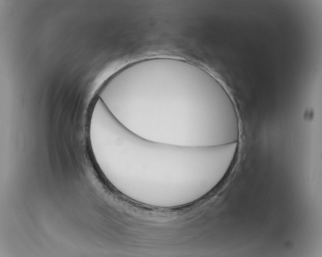 X0000111910008200908171312