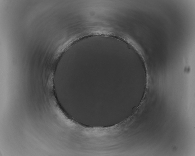 X0000111910009200908171312