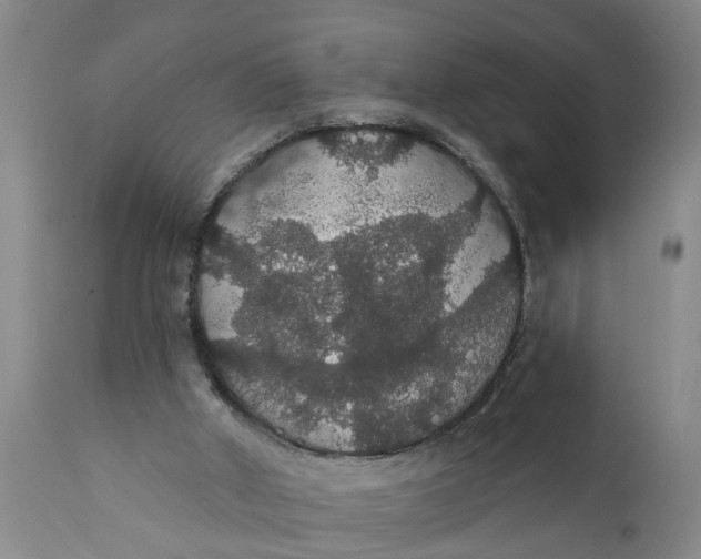 X0000111910010200908171312