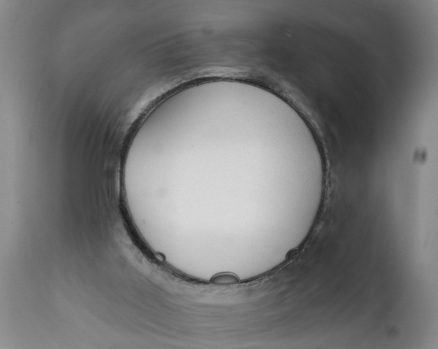 X0000111910011200908171312