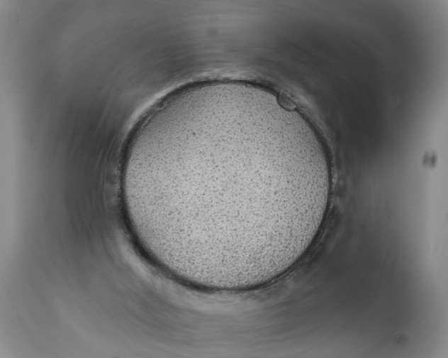 X0000111910012200908171312