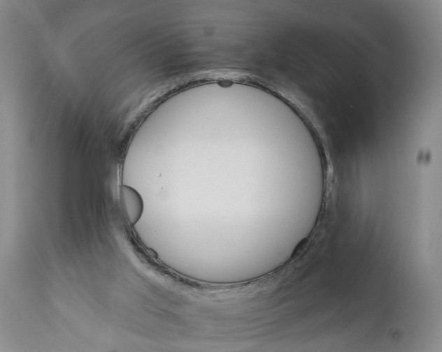 X0000111910013200908171312