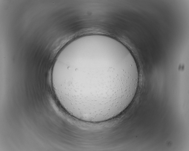X0000111910014200908171312