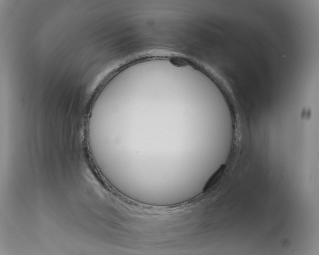 X0000111910015200908171312