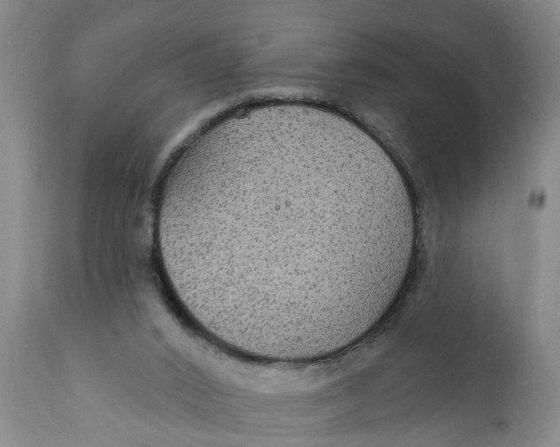 X0000111910016200908171312