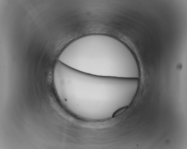 X0000111910017200908171312