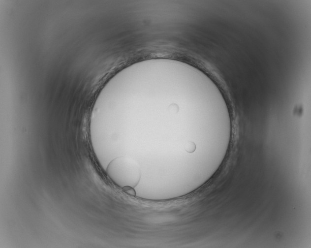 X0000111910018200908171312