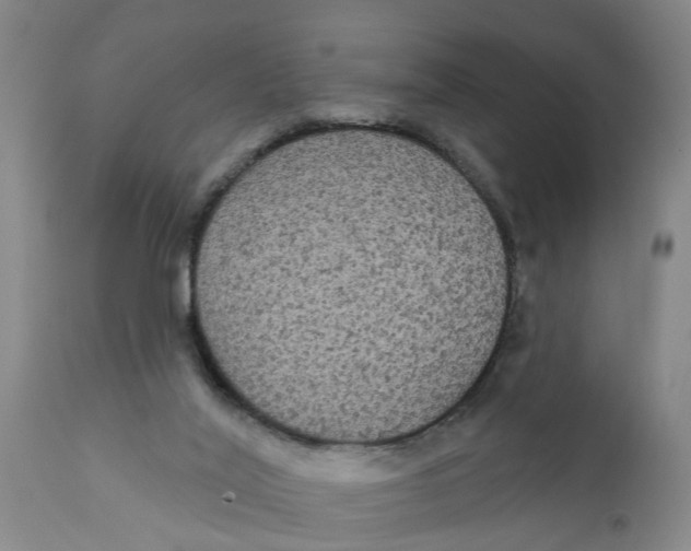 X0000111910020200908171312