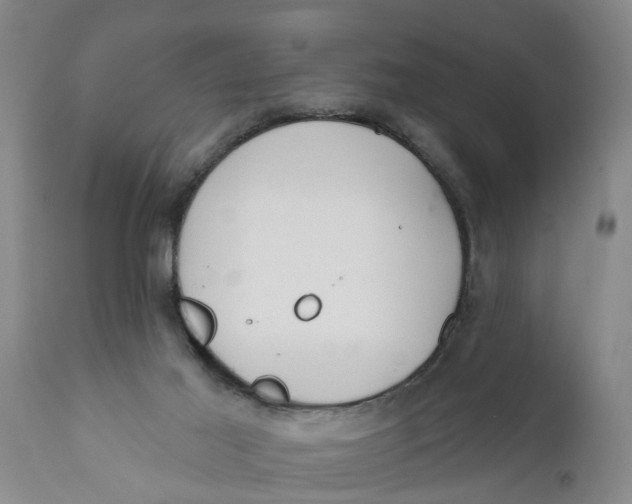 X0000111910021200908171312