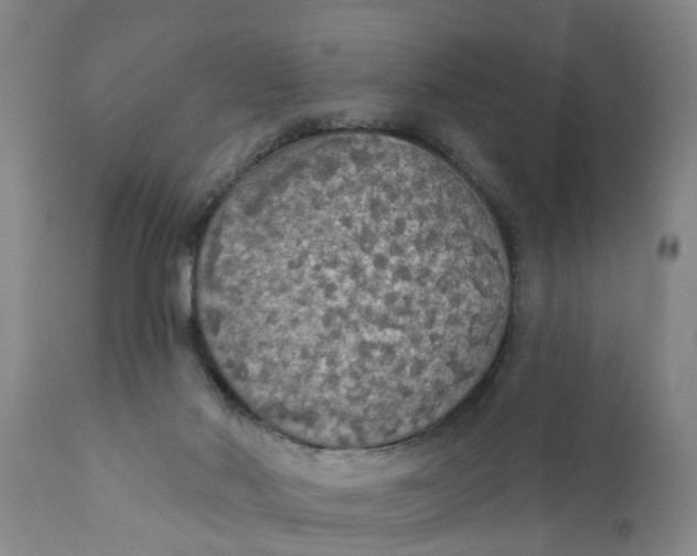 X0000111910022200908171312