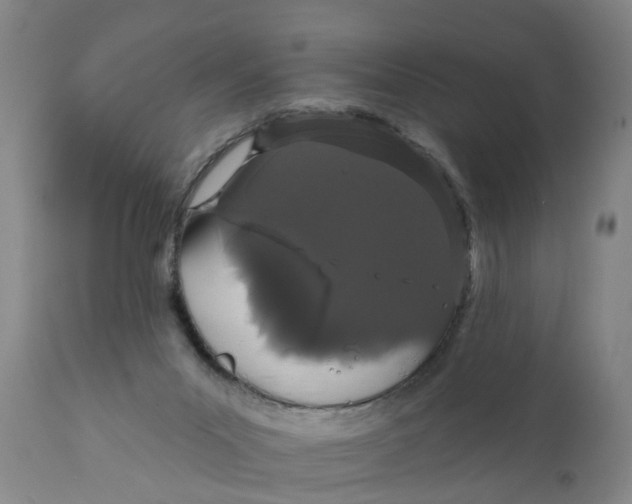 X0000111910023200908171312