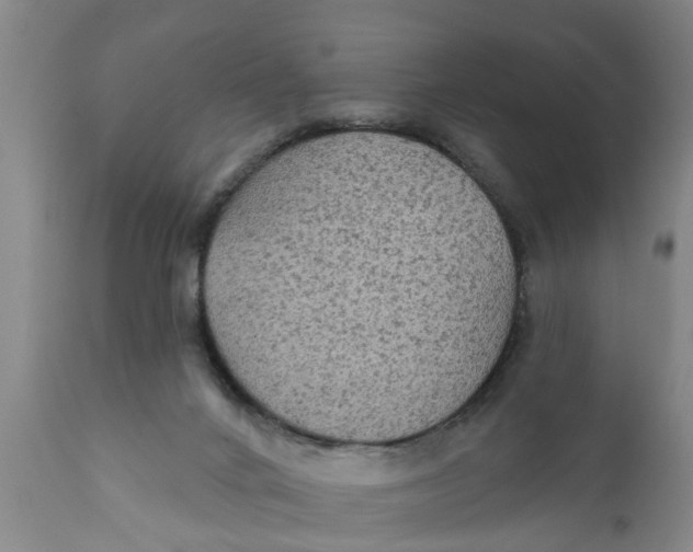 X0000111910024200908171312