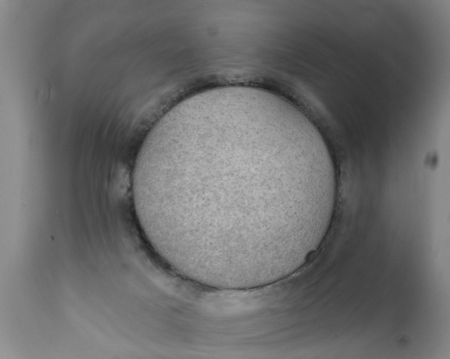 X0000111910025200908171312