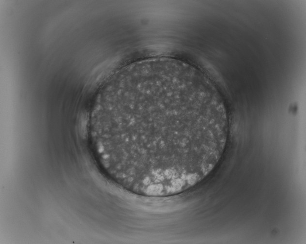 X0000111910026200908171312