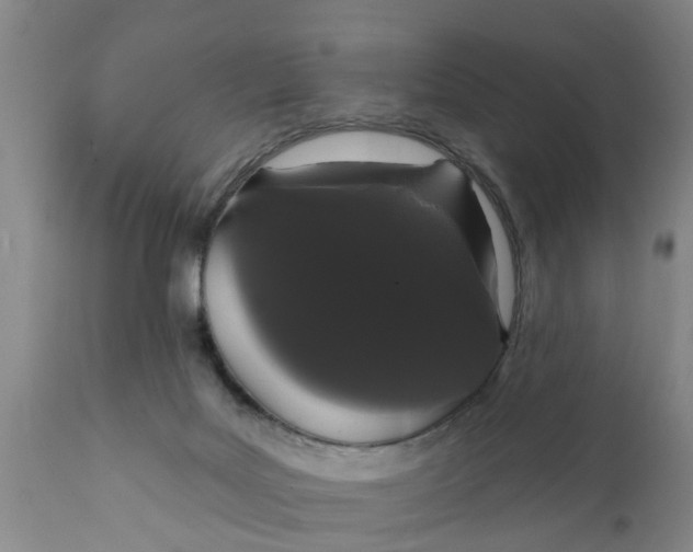 X0000111910027200908171312