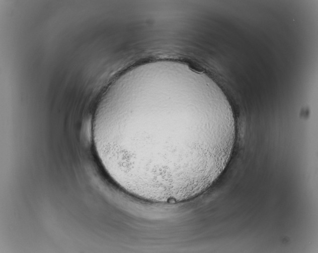 X0000111910028200908171312