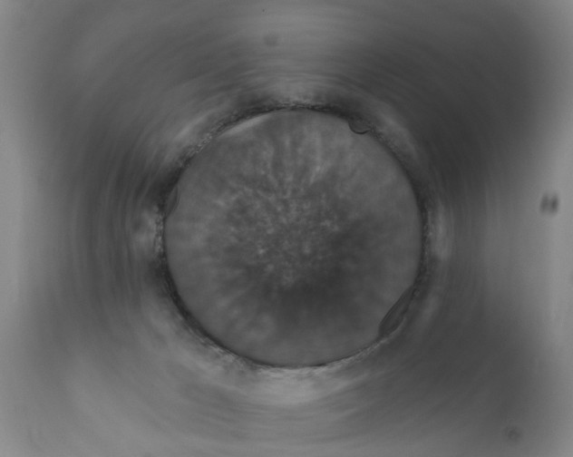 X0000111910029200908171312
