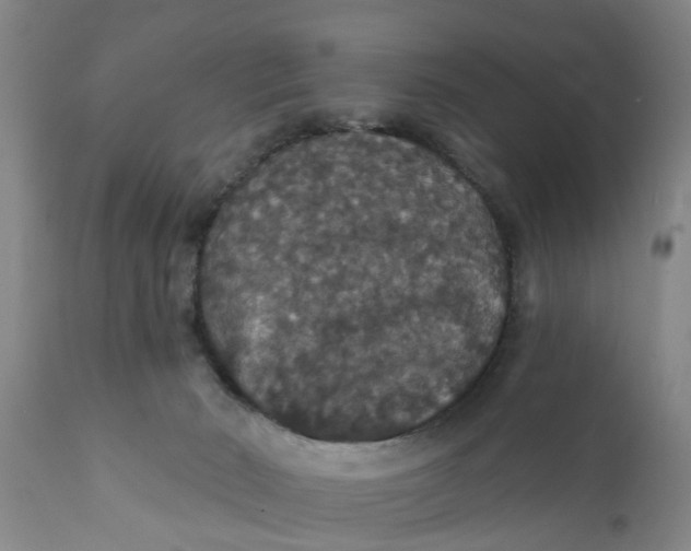 X0000111910030200908171312