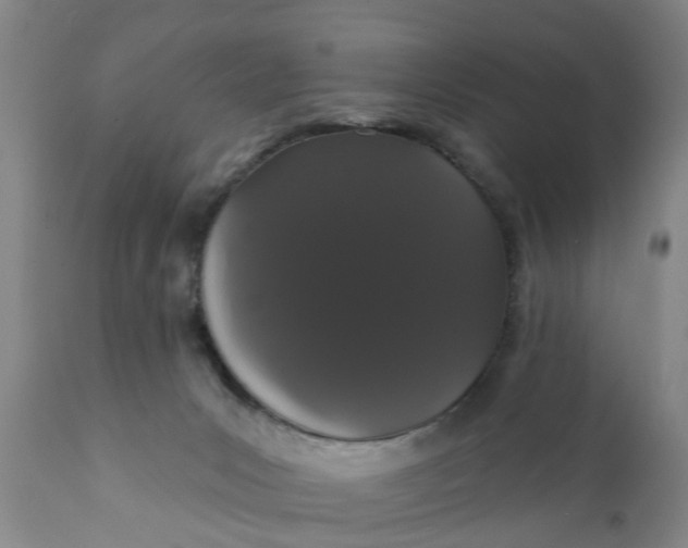 X0000111910031200908171312